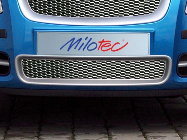 Mřížka nárazníku, nerez, Škoda Roomster / Fabia II