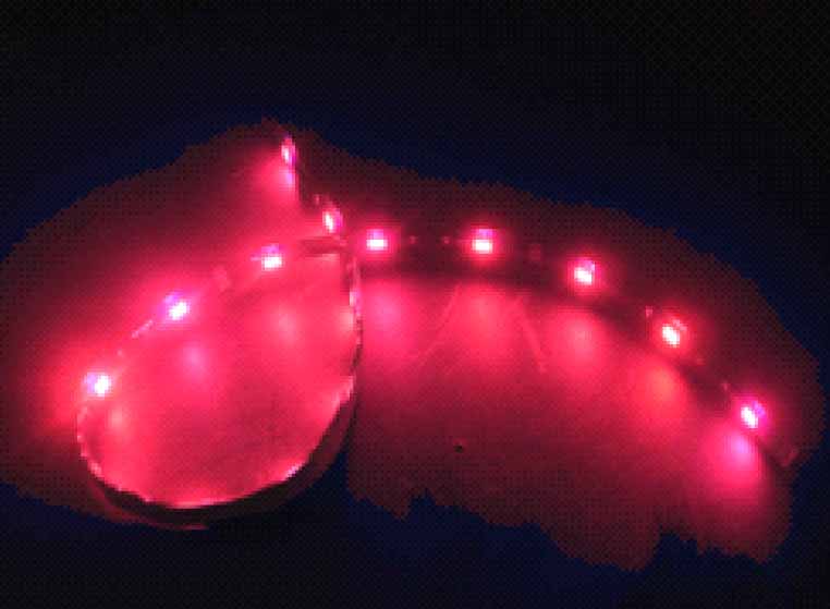 LED pásek voděodolný 12V, 72LED červená