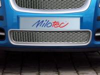 Mřížka nárazníku, nerez, Škoda Roomster / Fabia II