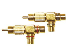 Cinch Gold T+, 2x samice/ 1x samec